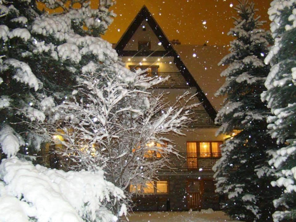Villa D.W Teresa à Zakopane Extérieur photo
